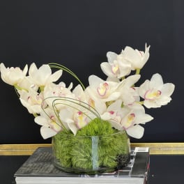 White orchids arranged in a glass bowl with green moss