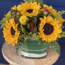 Sunny Sunflowers by BloomNation™