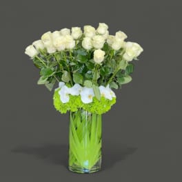 White roses and orchids in a tall clear vase with bright green flowers