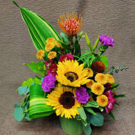 Modern Petite Pot, Bold Color