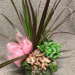 Succulent Heart Planter