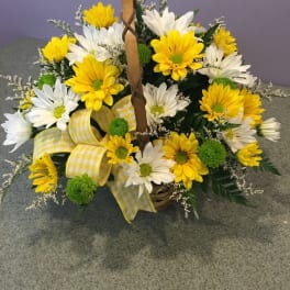 Basket arrangement of yellow and white daisies with a yellow ribbon bow
