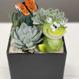 Succulent planter with a frog figurine and butterfly decoration