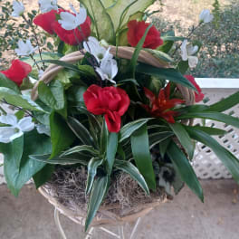Basket arrangement with red and white flowers and mixed foliage