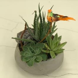 Succulent arrangement in a round gray planter with a small bird decoration