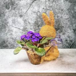 Purple potted flowers in a bunny-shaped planter with a ribbon