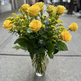 One Dozen High and Exotic Roses