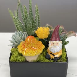 Succulent planter with a small gnome figurine and mushroom ornament