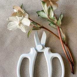 Flower Snips