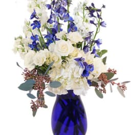 White and blue flowers arranged in a cobalt glass vase