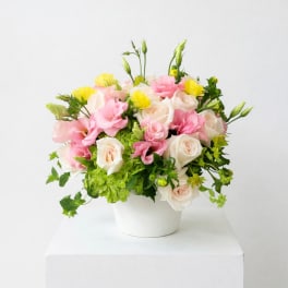 Pink and white roses with yellow blooms in a white vase