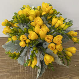 Bouquet of yellow freesia with silvery foliage