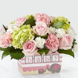 Darling Baby Girl ™ Bouquet