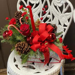 Holiday arrangement with red roses, pinecones, candy canes, and a red bow in a white chair
