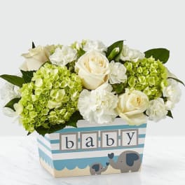 Darling Baby Boy Bouquet