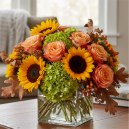 Low arrangement of sunflowers, peach roses, and green hydrangea in a clear glass cube vase