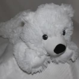 White teddy bear with black eyes and nose