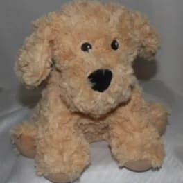 A beige plush dog toy with floppy ears and black eyes.