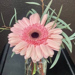 Pink gerbera daisy in a clear glass vase with airy greenery