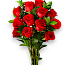 Bouquet of red roses with green foliage
