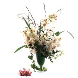 White orchid arrangement in a green vase with trailing vines