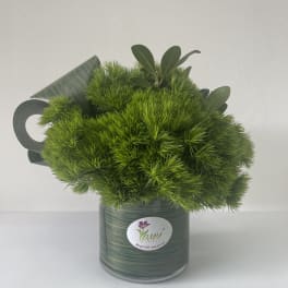 Green pom-pom bouquet in a striped glass vase