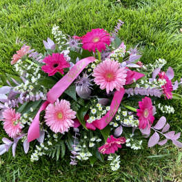 Pink Tribute Spray