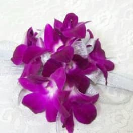Purple orchid bouquet with a white ribbon