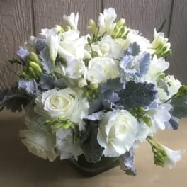 White roses and freesia arranged with blue-gray foliage in a low vase