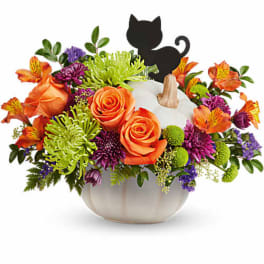 Orange and purple flower arrangement in a white pumpkin vase with a black cat topper