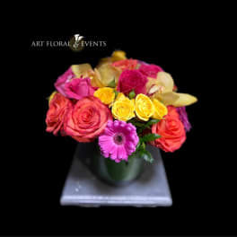 Spring Time Blooms