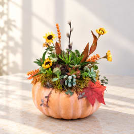 Succulent arrangement in a pumpkin with yellow flowers and autumn leaves
