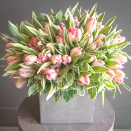 Pink tulips arranged in a square gray vase