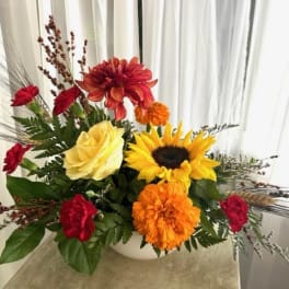 Fall Delight