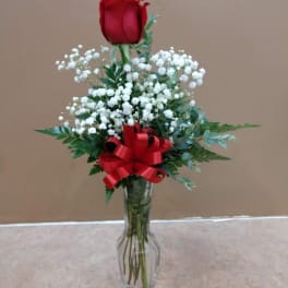 Single red rose in a glass vase with white baby's breath and a red bow