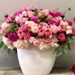 Pink and cream rose arrangement in a white vase
