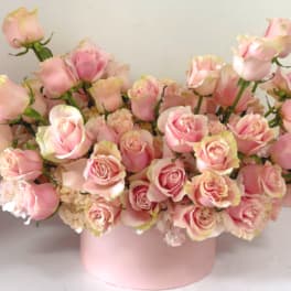Pink roses arranged in a round pink box