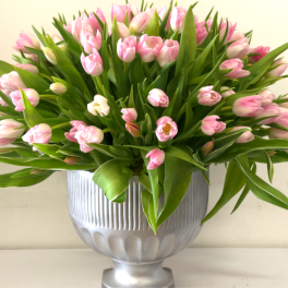 Pink tulips arranged in a silver vase