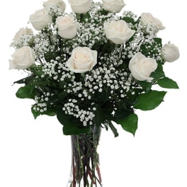 Rose Elegance Premium Long Stem White Roses
