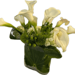White calla lilies arranged in a glass vase with green accents
