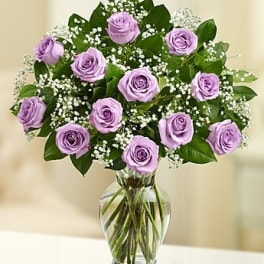 Rose Elegance Premium Long Stem Purple Roses