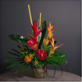 Tropical flower arrangement with red anthuriums and bird of paradise in a woven vase