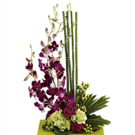 Purple orchids arranged with bamboo stalks in a green container