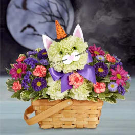 192440 Purrfect potion fabulous feline