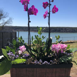 Pink orchids arranged in a rectangular planter with greenery