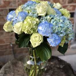 Tall glass vase of pale yellow roses and blue hydrangeas with blue carnations.