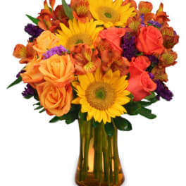 Bouquet of sunflowers, roses, and orange alstroemeria in an amber vase