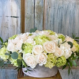 Cream roses and pale green hydrangeas in a low gray box