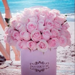 Pink roses arranged in a round box with a beach backdrop