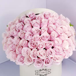 Large bouquet of pale pink roses in a white hatbox